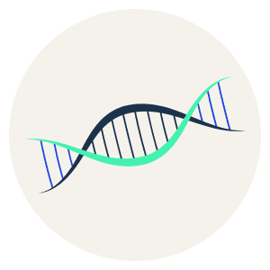 Illustration: a version of this SMN1 Gene